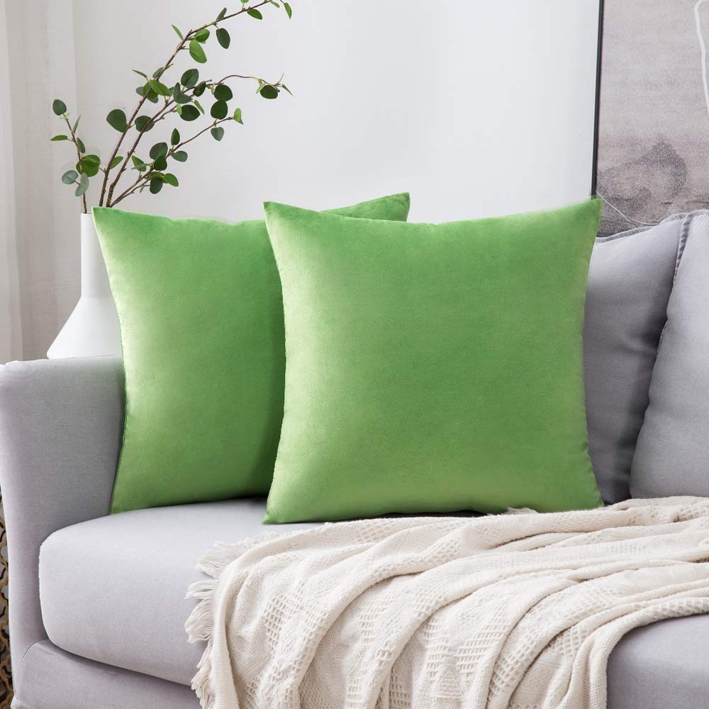 Miulee Pack Of 2 Velvet Pillow Covers Decorative Square Pillowcase Soft Solid Cushion Case For Spring Sofa Bedroom Car 18X18 Inc