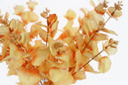Tinsow Artificial Eucalyptus Stems Orange Real Touch Leaf Branches Faux Eucalyptuses Fall Centerpiece Halloween Thanksgiving Har
