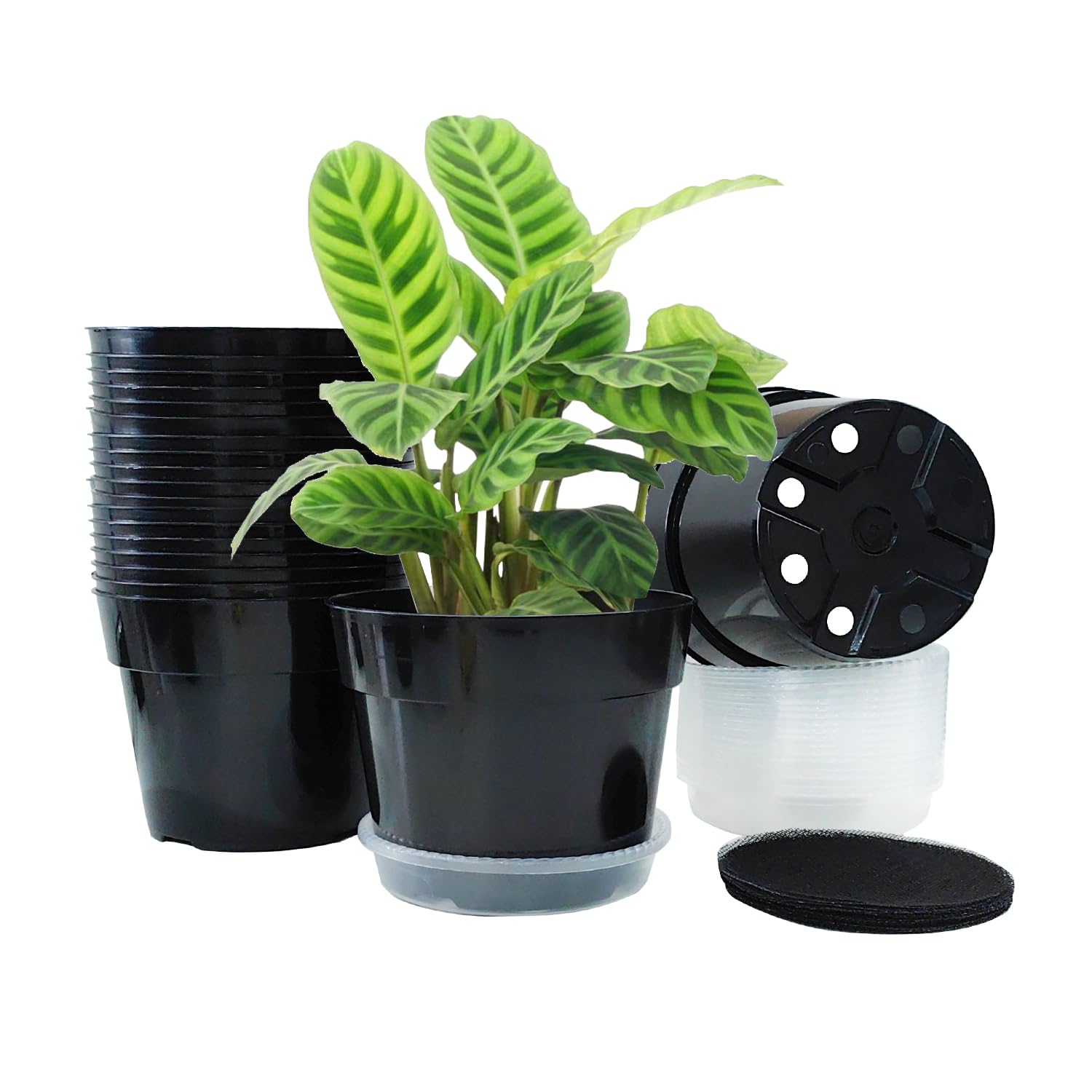 Rootrimmer 6 Inch 15 Cm Top Diameter Black Planter Pots 20 Pack With Thick Transparent Saucers 20 Pieces, Durable New Pp Plastic