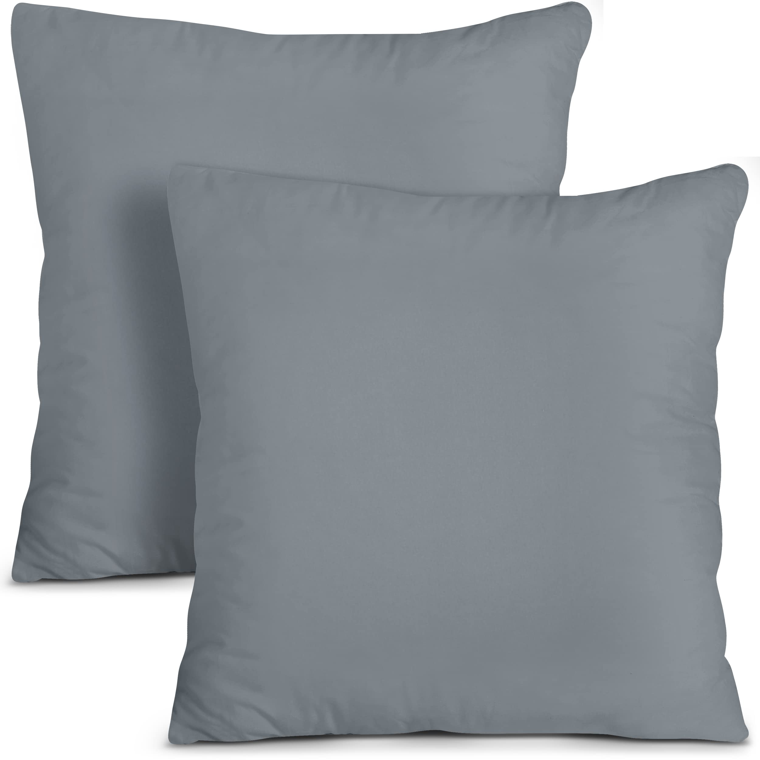 Utopia Bedding Throw Pillows Insert (Pack Of 2, Grey) - 22 X 22 Inches Bed And Couch Pillows - Indoor Decorative Pillows