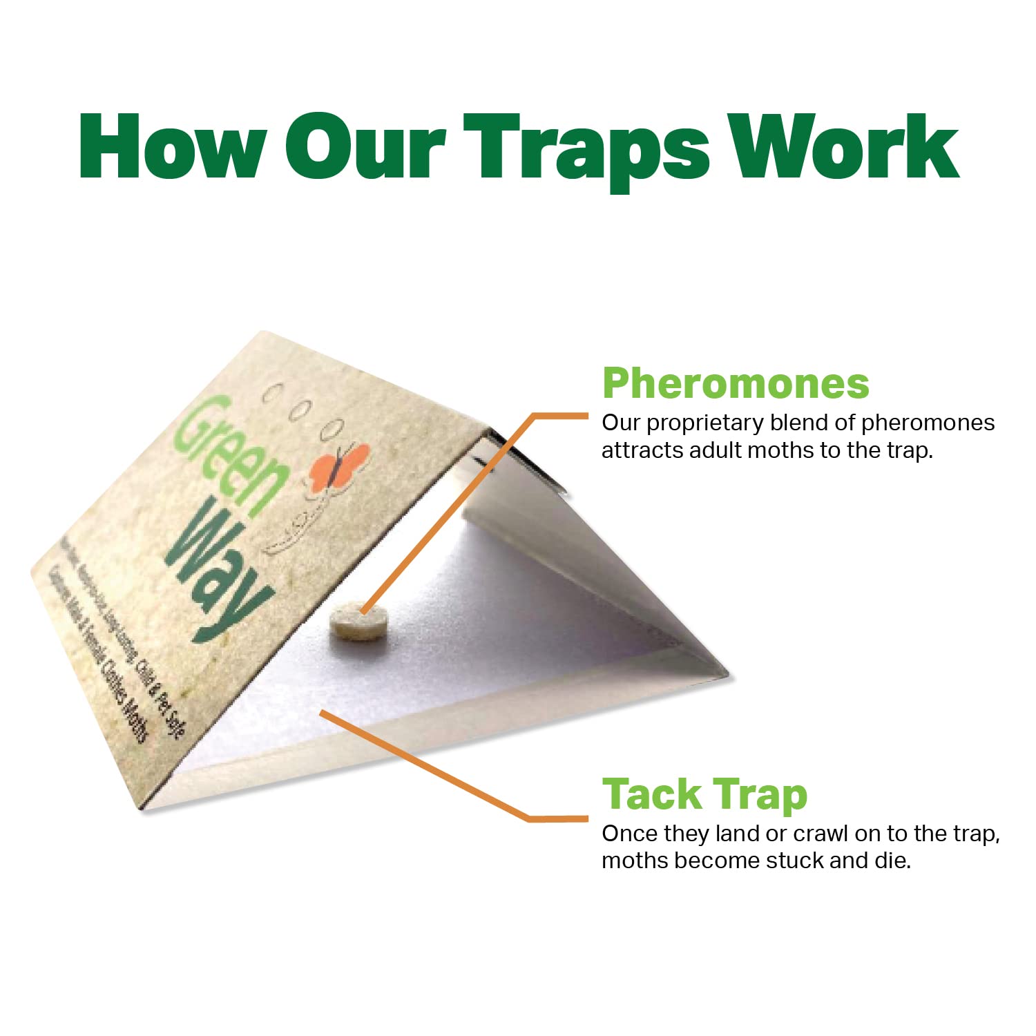 Insects Limited Greenway Clothing Moth Traps (2 Traps) - For Clothes Closets - Alternative To Cedar Balls And Moth Balls - Phero