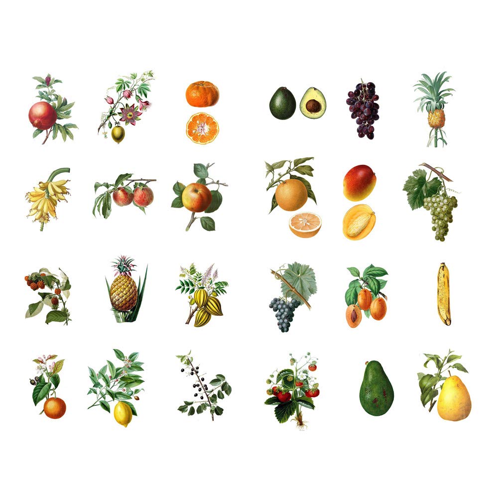 Seasonstorm Fresh Fruits Kawaii Aesthetic Pastel Art Agenda Journal Planner Stationery Stickers