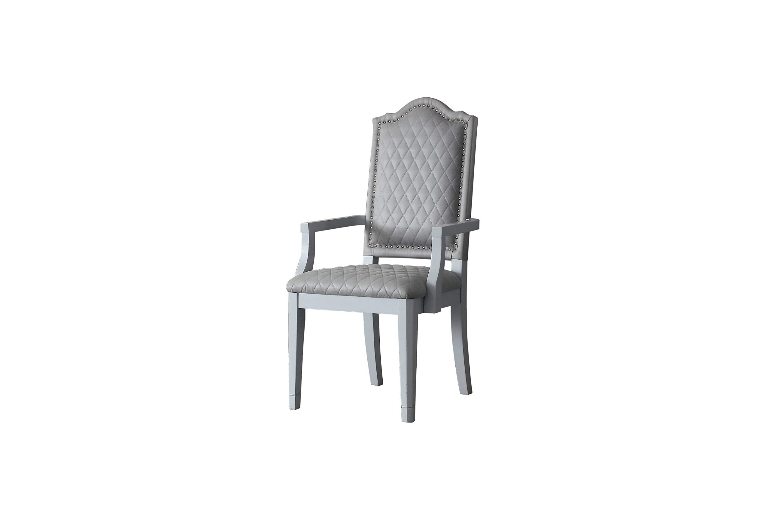 Acme House Marchese Fabric Arm Chair in Gray and Pearl Gray Set of 2