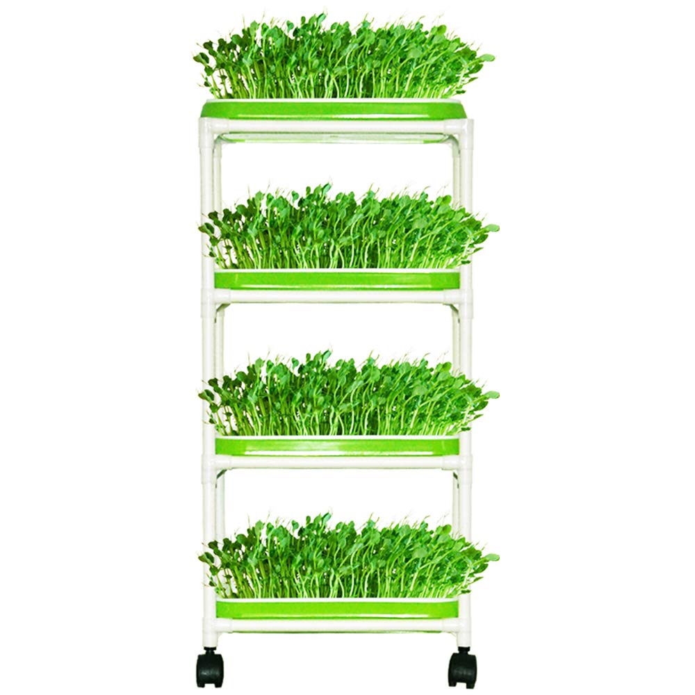 4 Layers Sprout Trays With Extra Strength Plastic Shelf Soil-Free Healthy Wheatgrass Seeds Grower & Storage Trays For Garden Hom