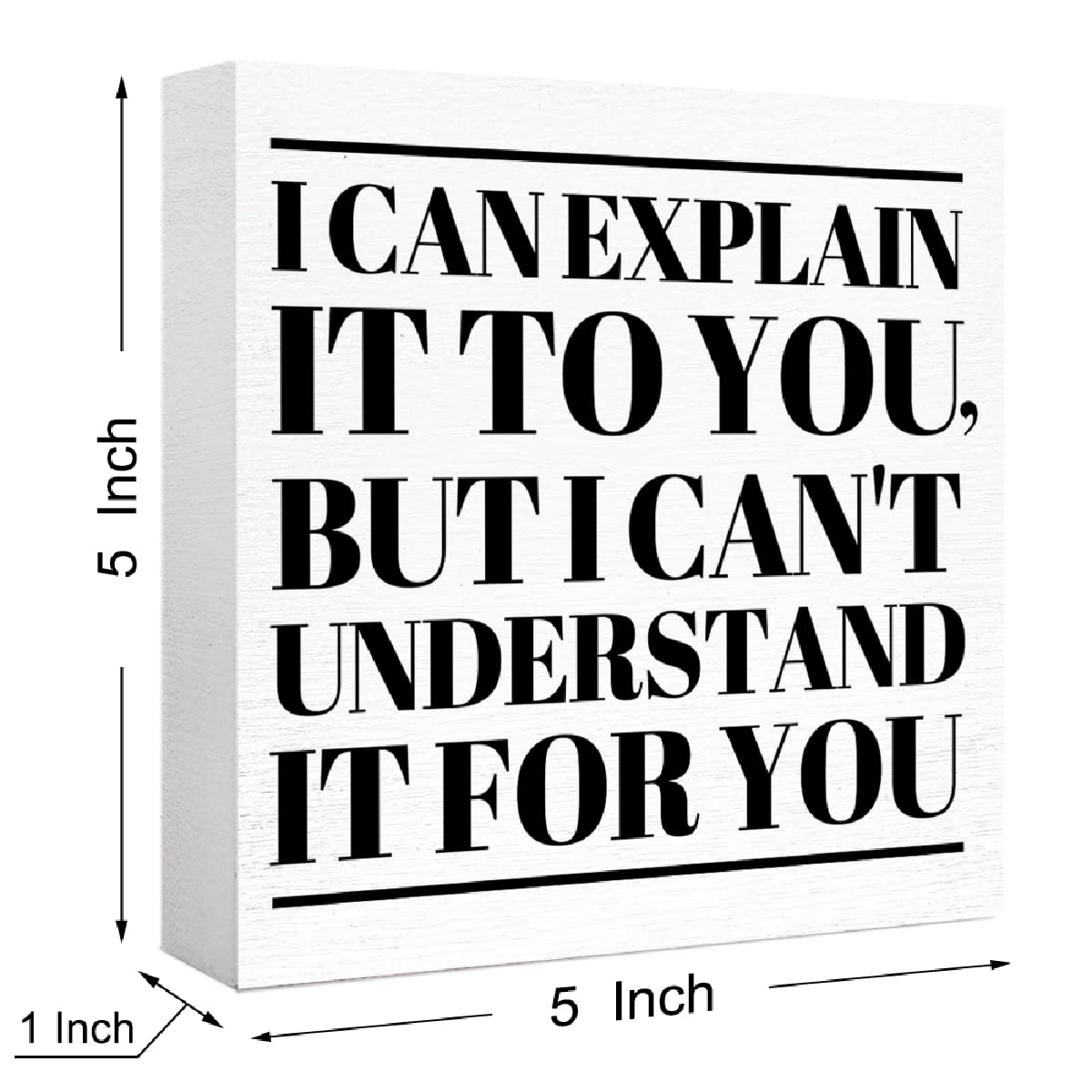 Funny Office Wood Box Sign I Can'T Explain It To You But I Can'T Understand It For You Wooden Block Sign Humorous Desk D  Cor Fo