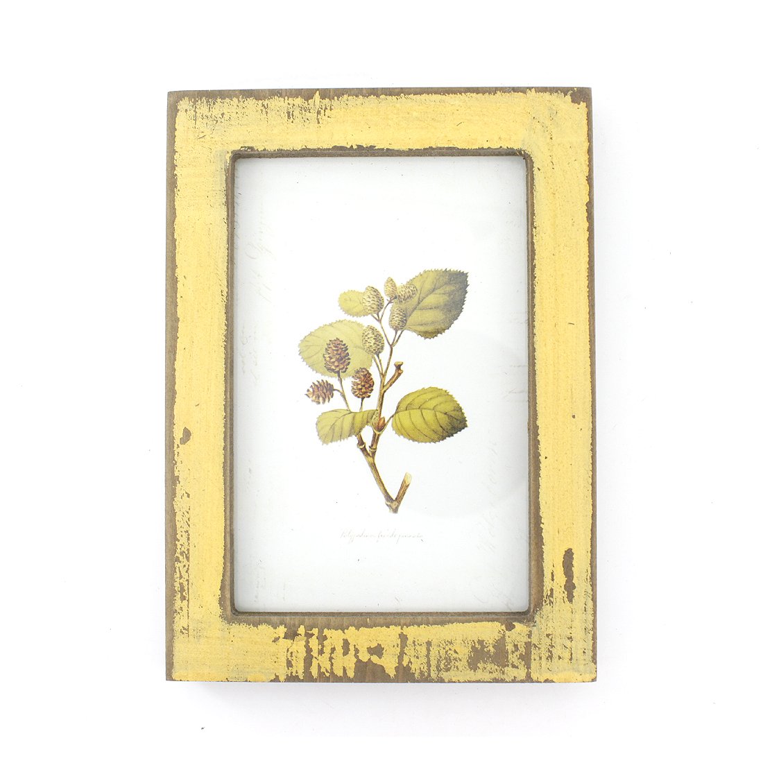 Zhenzan Frames 4x6 Inches Simple Rectangular Desktop Family Picture Photo Frame (Yellow)