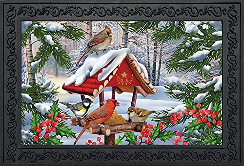 Briarwood Lane Gathered Together Winter Doormat Cardinals Birdfeeder Indoor Outdoor 30' X 18'