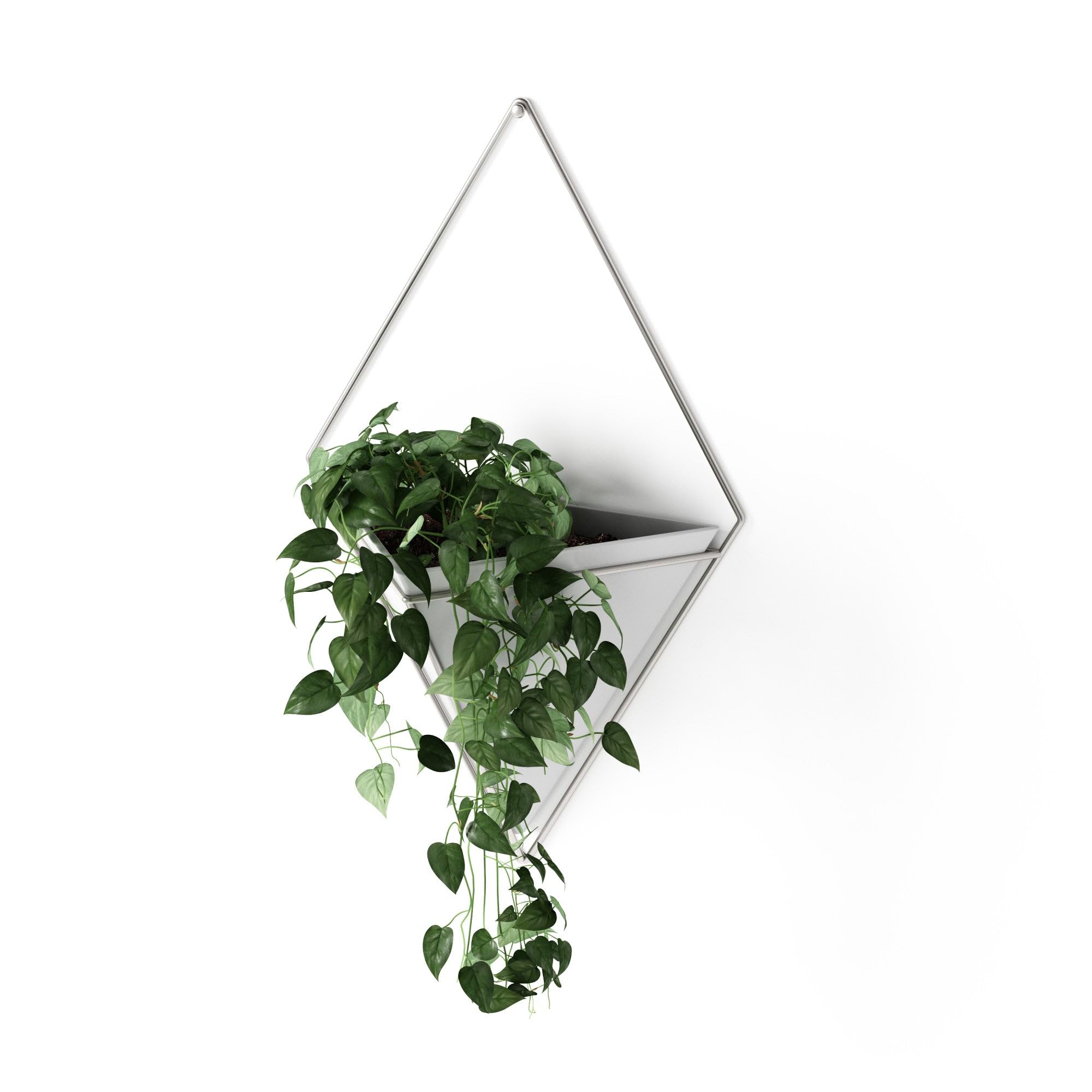 Umbra Trigg Hanging Planter Vase Wall Decor, Pot and Container for Succulents, Cactus, Faux Plants, and More, Large, White/Nicke