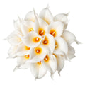 DuHouse 20Pcs Artificial Calla Lily Flower Real Touch Latex Flowers for DIY Wedding Bouquet Party Home Decor (White Orange)