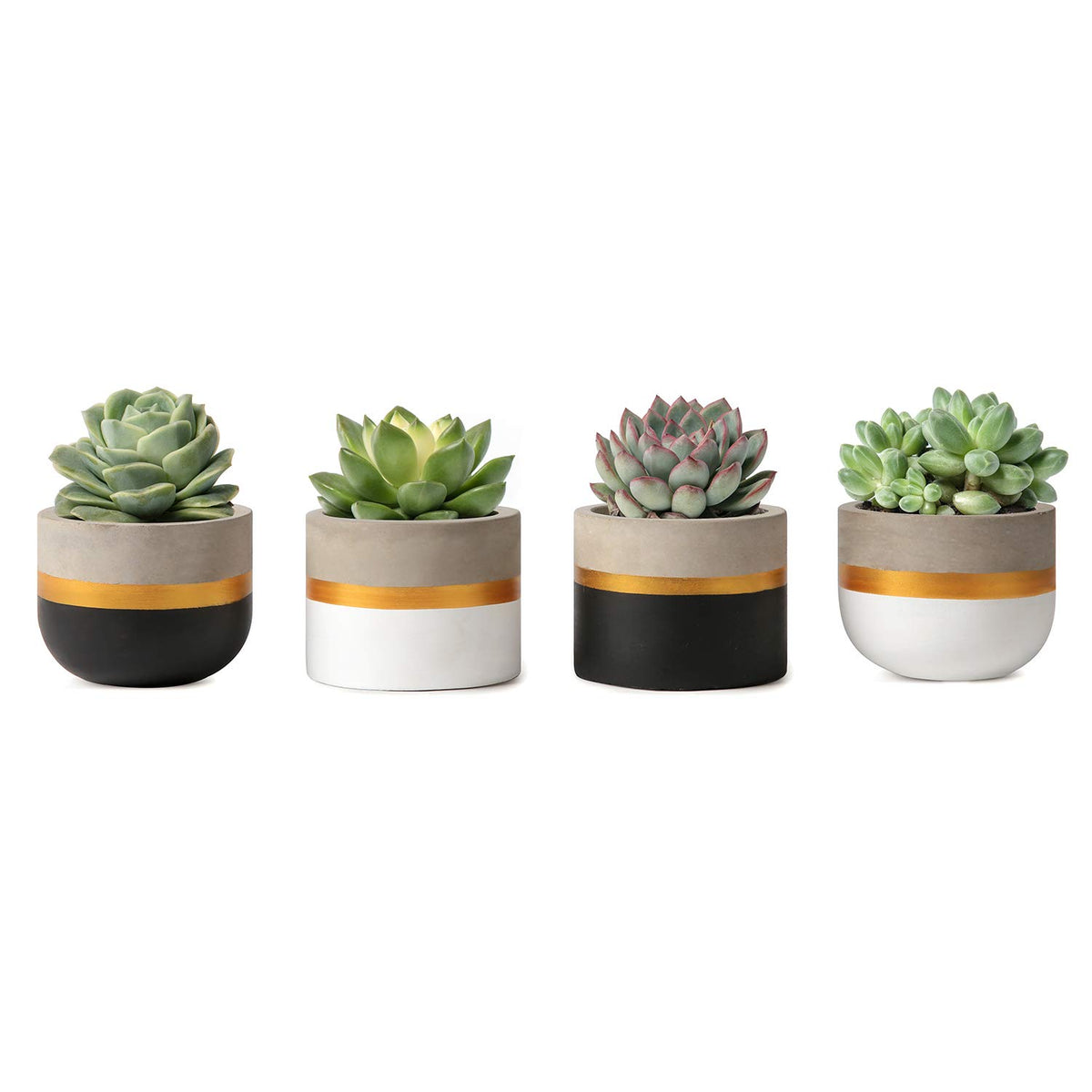 Mkono 3 Inch Mini Cement Succulent Planter For Indoor Plant, Set Of 4 Modern Tiny Concrete Herb Plant Pots With Drainage Hole Sm