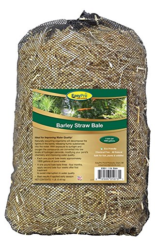 Easypro Pond Products Ebs1 Barley Straw Bale For Ponds And Waterfalls - Keeps Water Clean And Clear - Reduces Pond Maintenance -
