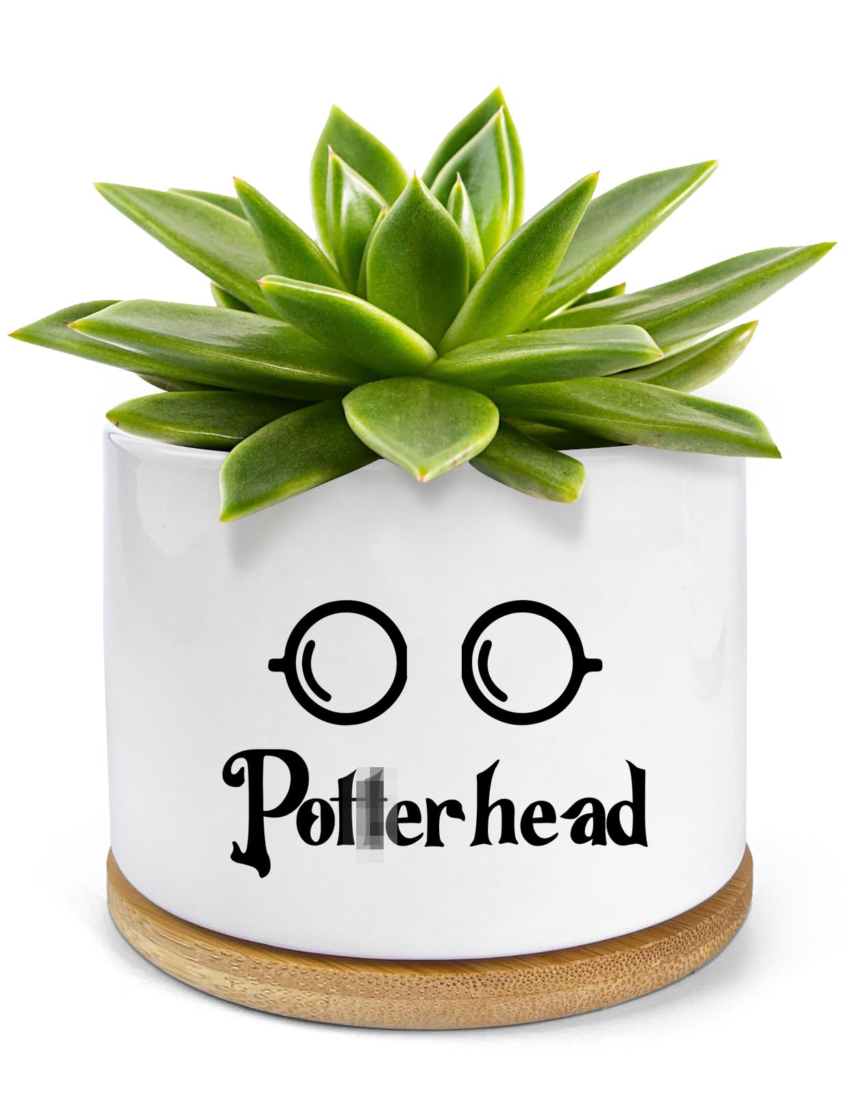 Pwhingn Funny Ceramic Succulent Planter Pots With Drainage Bamboo Tray, Office Windowsill Decor Indoor, Funny Plants Pots Desk A