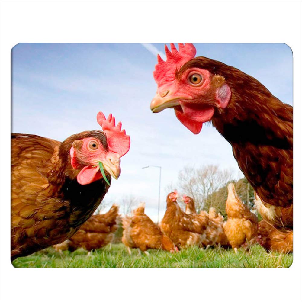 Nicokee Chicken Gaming Mousepad Funny Chicken Green Grass Mouse Pad Mouse Mat For Computer Desk Laptop Office 9.5 X 7.9 Inch Non