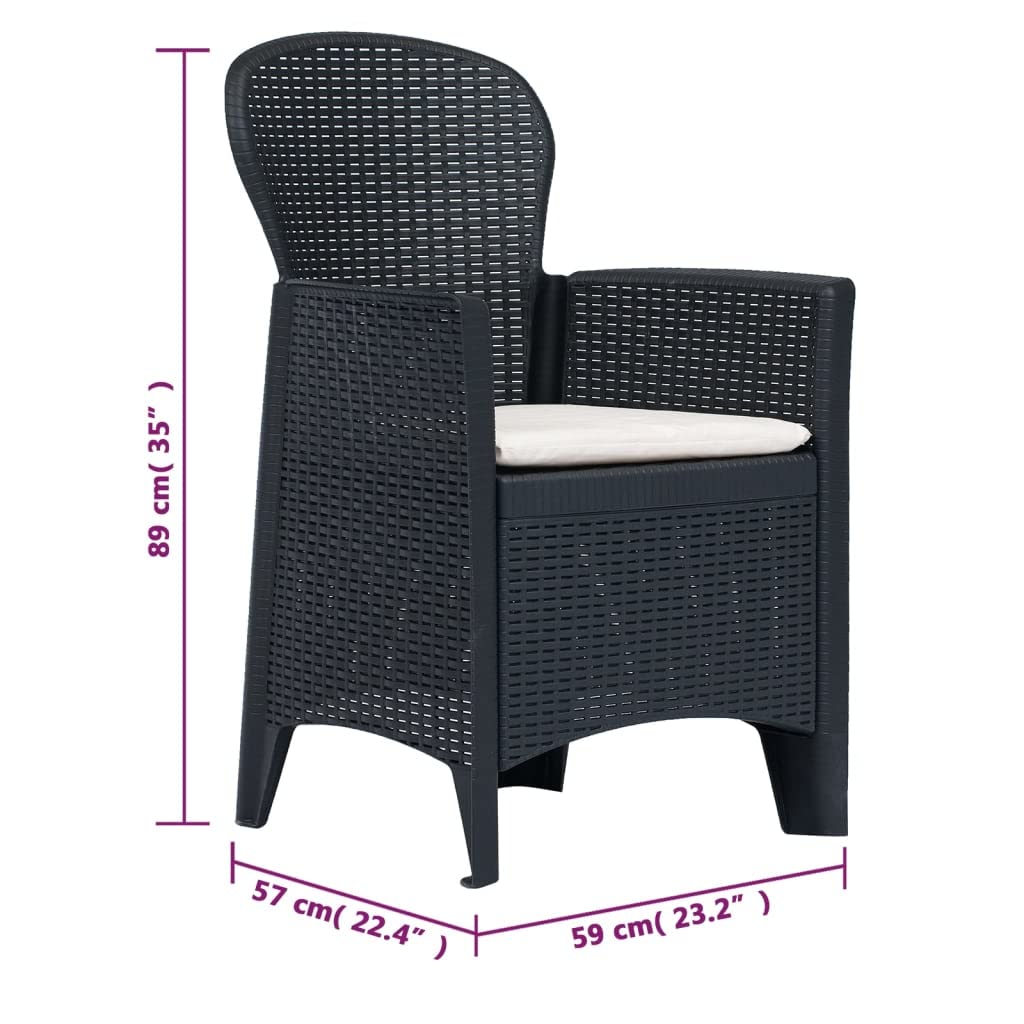vidaXL Patio Dining Set 7 Piece, Patio Furniture Set, Outdoor Table Set with Chairs, Rattan Chair with Cushions for Garden, Plastic Anthracite