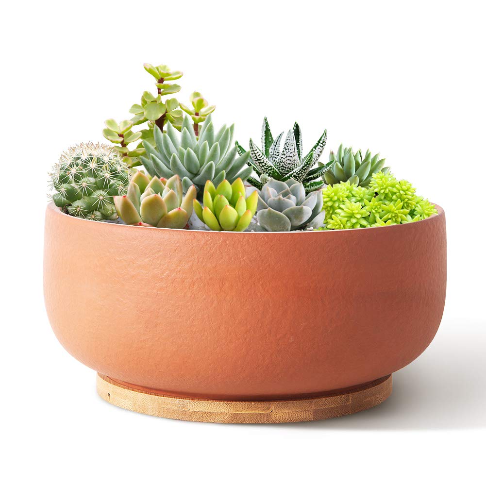 Sqowl Terracotta Planter Pot For Succulent 8 Inch Pottery Pot Round Planter Cactus Clay Flower Pot With Drain Hole And Bamboo Tr