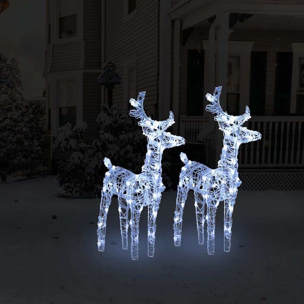 'vidaXL Christmas Reindeers 2 pcs, Outdoor Decoration, Made of Acrylic with Energy-Efficient LED Lights, 8 Lighting Effects, Weather-Proof, Cold White Light, Includes USB