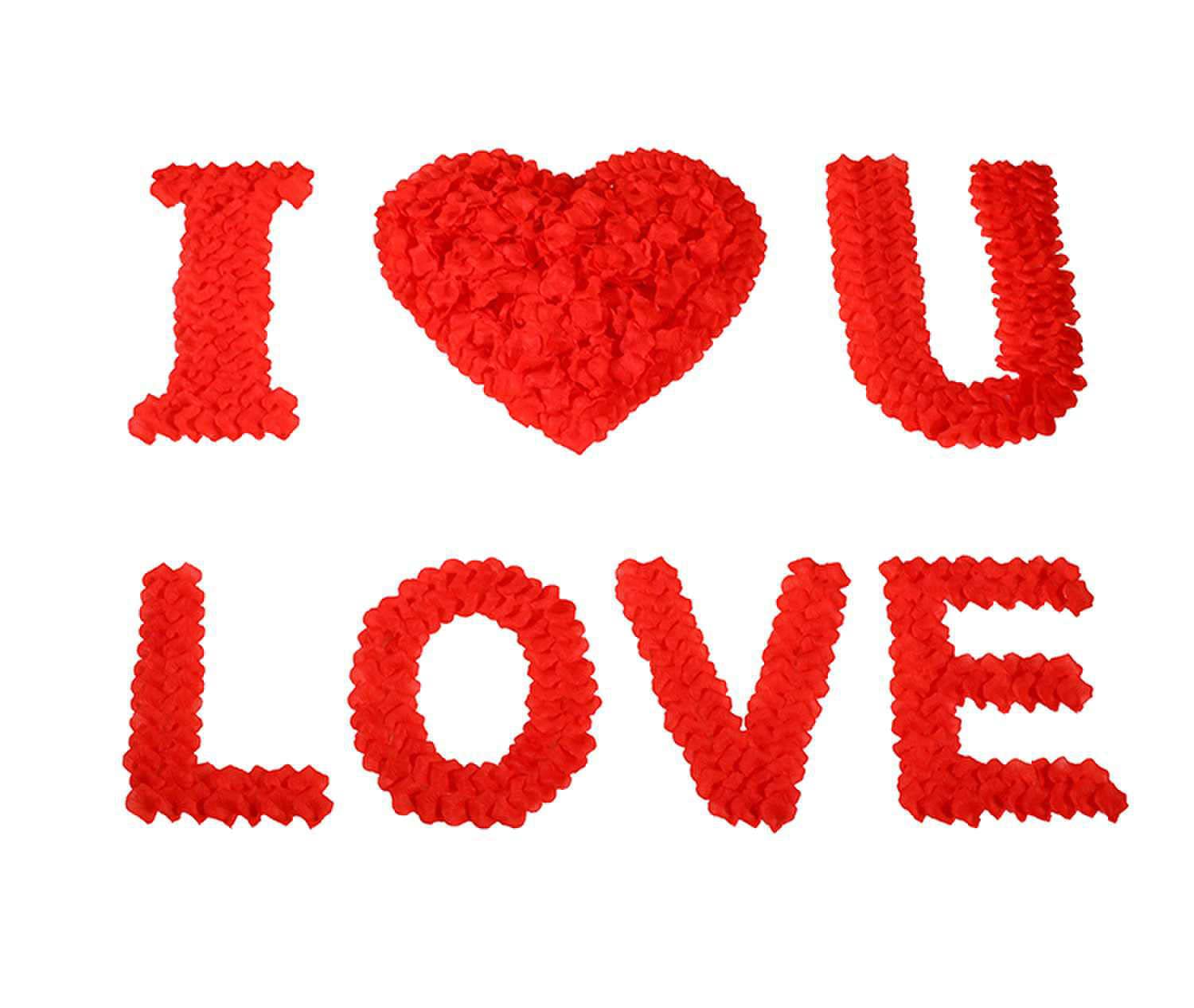 CODE FLORIST 1100 PCS Red Silk Rose Petals for Valentines Day,Romantic Night,Wedding,Proposal Anniversary Flower Decorations(Se
