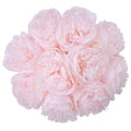 UArtlines 2 Bouquet 10 Heads Artificial Peony Silk Flower Leaf Home Office Wedding Party Festival Bar Decor (Light Pink)
