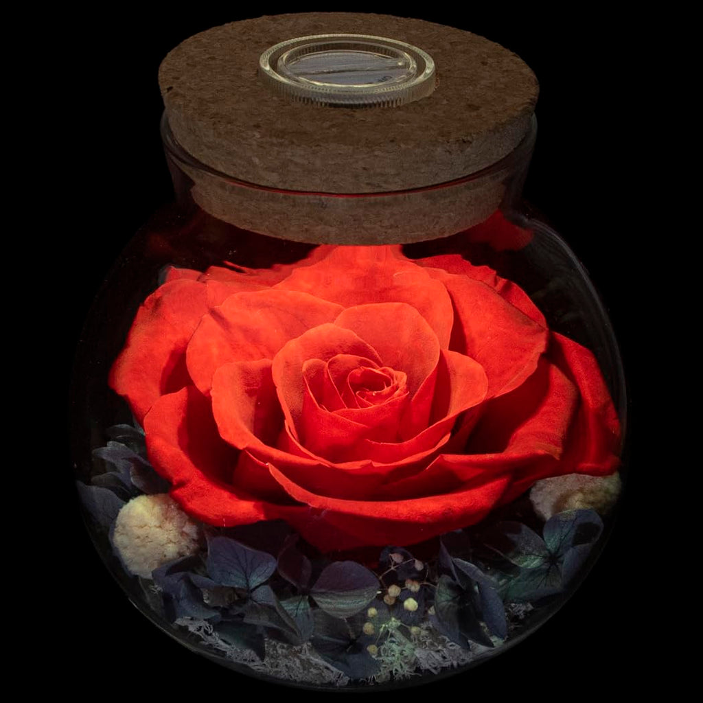 roliys Preserved Real Roses with Colorful Mood Light Wishing Bottle, Eternal Rose,Never Withered Flowers, Table Decor,Christmas 