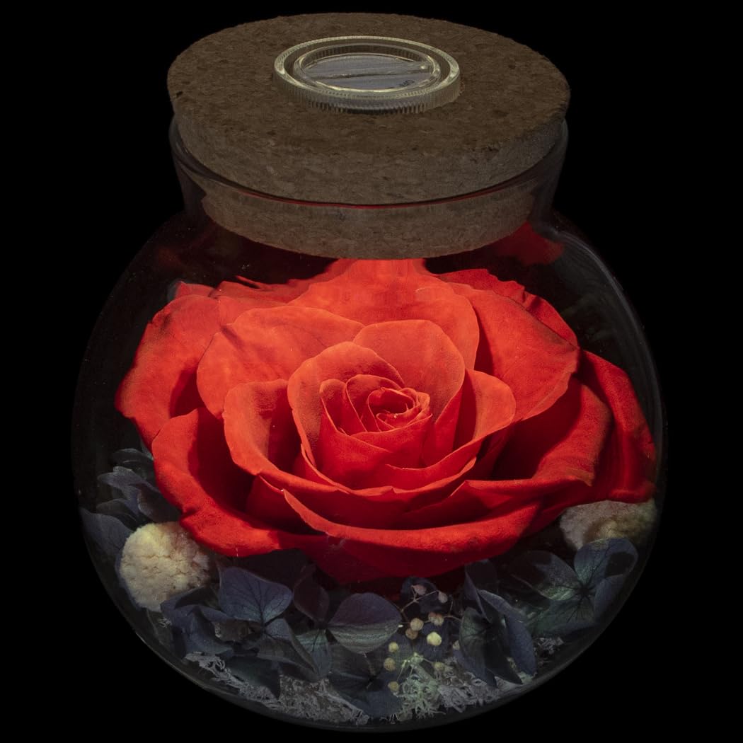 roliys Preserved Real Roses with Colorful Mood Light Wishing Bottle, Eternal Rose,Never Withered Flowers, Table Decor,Christmas 