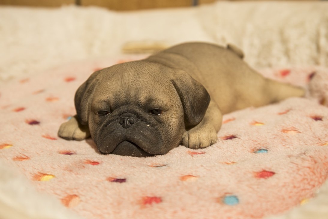 Hi- Line Gift 87710-L Pug Puppy Sleeping Pet Pals Statue