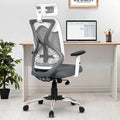 Da Urban Merlion Office Chair,High Back Mesh Ergonomic Home Office Desk Chair With 3 Years Warranty, Adjustable Armrests,Adjusta