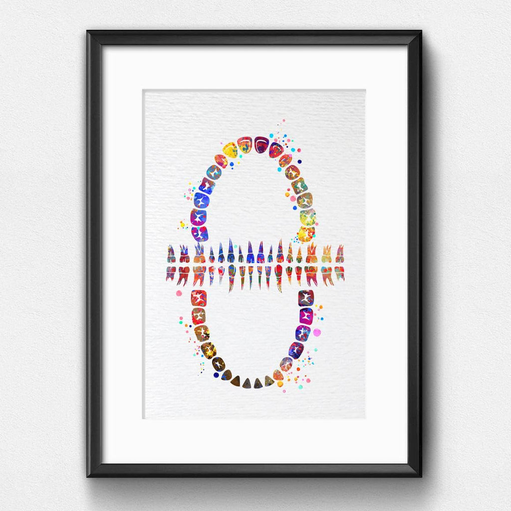 Dignovel Studios 13X19 Unframed Tooth Chart Anatomical Art Dental Clinic Dentistry Science Watercolor Art Print Poster Dn565