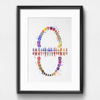 Dignovel Studios 13X19 Unframed Tooth Chart Anatomical Art Dental Clinic Dentistry Science Watercolor Art Print Poster Dn565