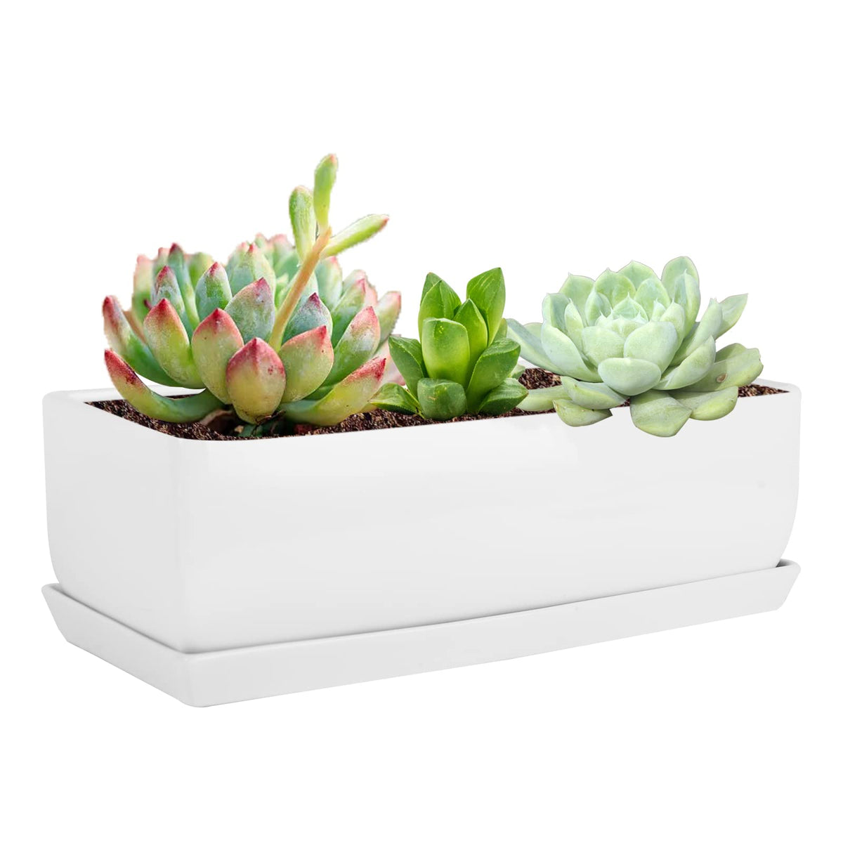 Vencer 14 Inch Rectangular Modern Minimalist Ceramic Succulent Planter Pot - Window Box With Saucer,Office Desktop Potted Stand,