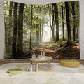 DZGlobal Forest Pathway in the Misty Mountain Tapestry Wall Hanging Art Nature Landscape Tapestries 60W X 40L Inch Home Decor fo