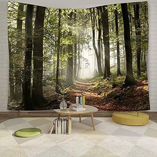 DZGlobal Forest Pathway in the Misty Mountain Tapestry Wall Hanging Art Nature Landscape Tapestries 60W X 40L Inch Home Decor fo