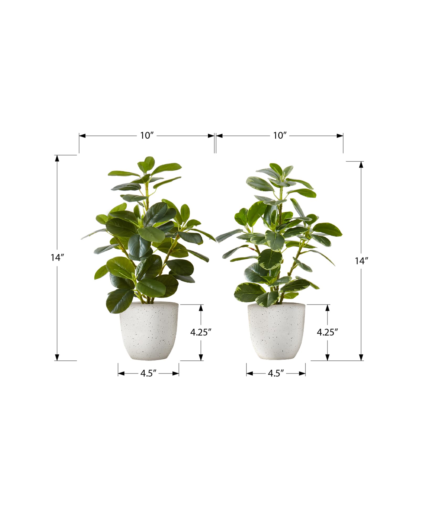 Monarch Specialties I 9557 Artificial Plant, 14' Tall, Ficus, Set of 2, Decorative, Green Leaves, White Pots