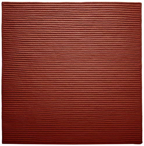 Simply Home Solid Area Rug, 4X4, Terracotta