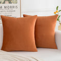 Herayli Velvet Decorative Fall Throw Pillow Covers, Soft Square Cushion Case Home Decor For Living Room Couch Bed Sofa, Set Of 2