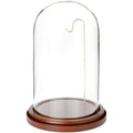 Plymor 4 x 7 Watch/Ornament Glass Display Dome Cloche (Walnut MDF Base & Brass Wire)