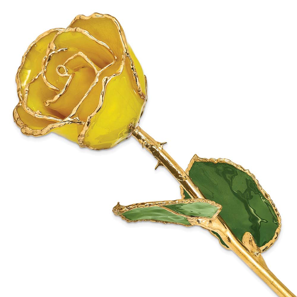 Allmygold One 24k Gold Dipped Real Yellow Rose 11