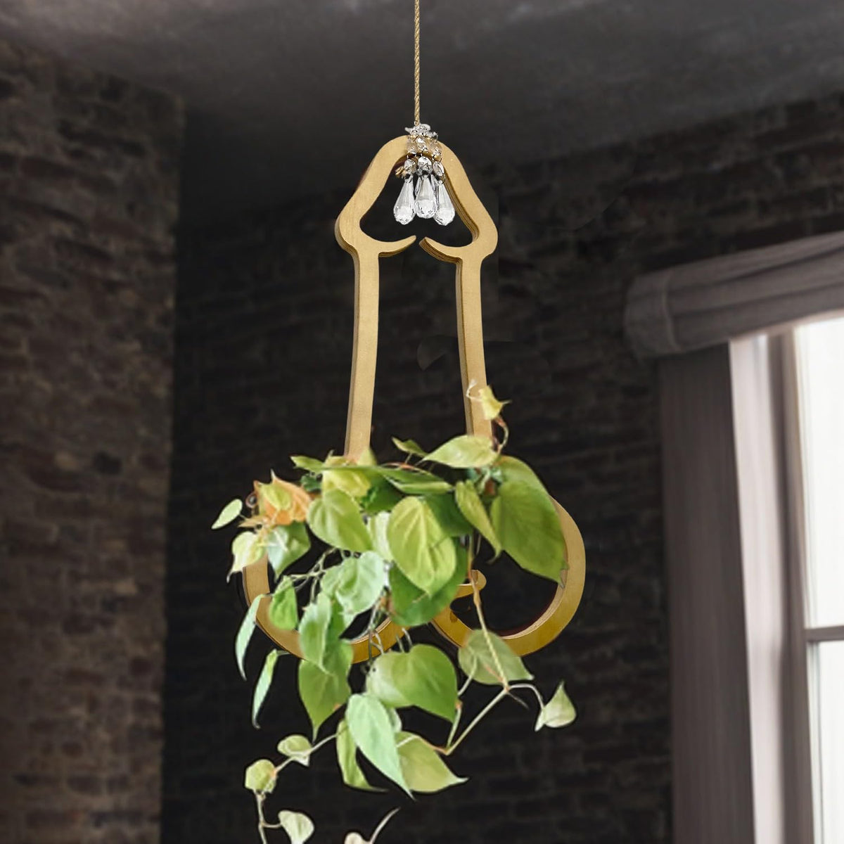 Funny Flower Pots Plant Hanger, Mr. Morningwood, Versatile Plant Hanger & Pot, Wood Penis Planter, Unique Plant Stand, Gift For
