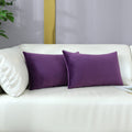 Mixeoo Comfy Eggplant Purple Throw Pillow Covers Decorative Lumbar Solid Rectangle Thick Velvet Super Soft Cushion Cases Home De
