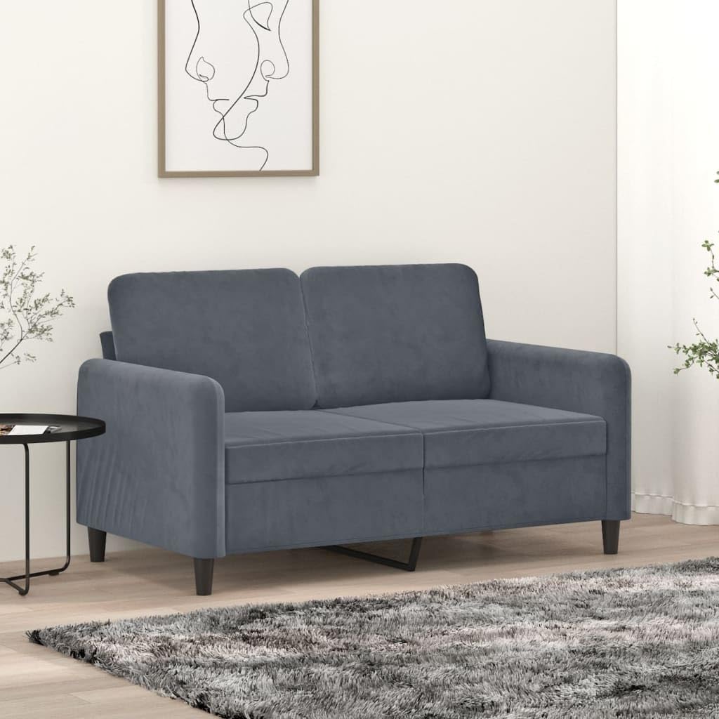 vidaXL Modern 2-Seater Sofa in Dark Gray - Soft Velvet Upholstered, Roomy Seats with Armrests, Stylish Design for Living Room