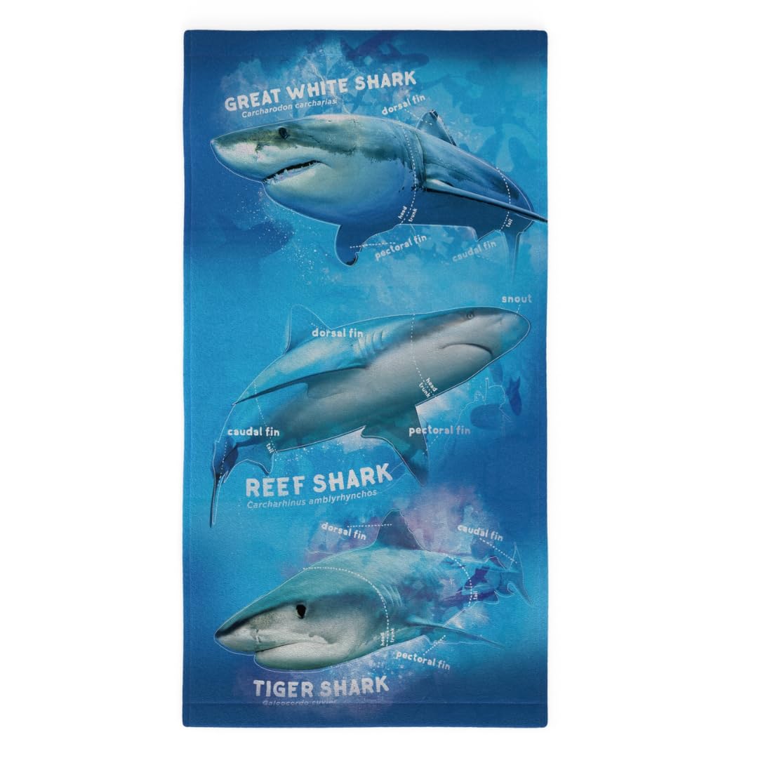 Franco Collectibles Discovery Shark Week Super Soft Lightweight 100% Recycled Bath/Pool/Beach Towel Made from Recycled Plastic B