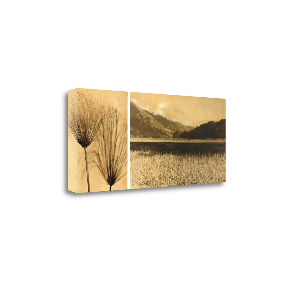 40' Nature Photography Sepia Tone Gallery Wrap Canvas Wall Art