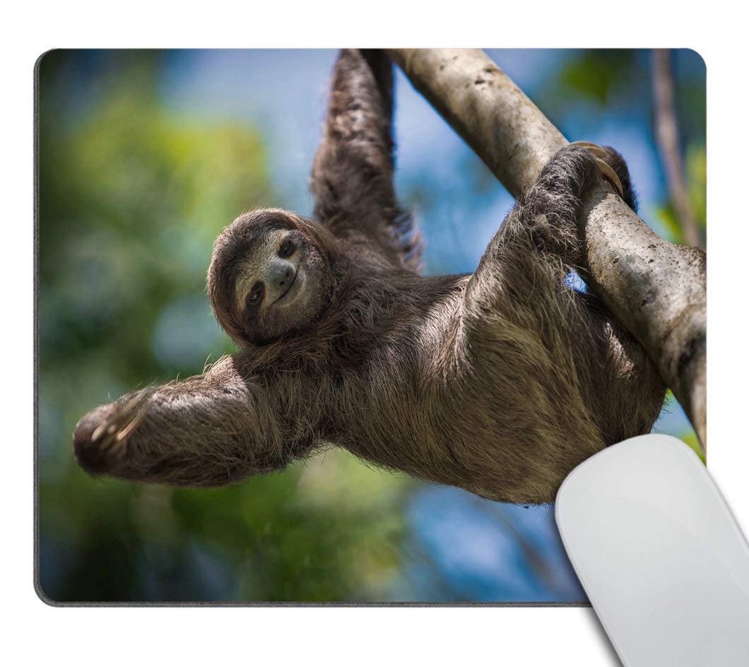 Smooffly Happy Sloth Customized Rectangle Non-Slip Rubber Mousepad Gaming Mouse Pad 9.5 X 7.9 Inch (240Mmx200Mmx3Mm)