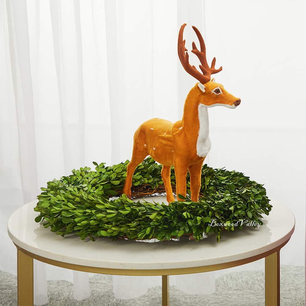 Boxwood Valley 24 Inch Xx-Large Preserved Boxwood Wreath, Wedding Home Decoration, Farmhouse Style Realistic Full Green Real Box