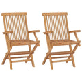 vidaXL Folding Patio Chairs with Armrests Set of 2, Outdoor Wooden Seats for Garden Dining Capming Beach Deck, Stable Structure 