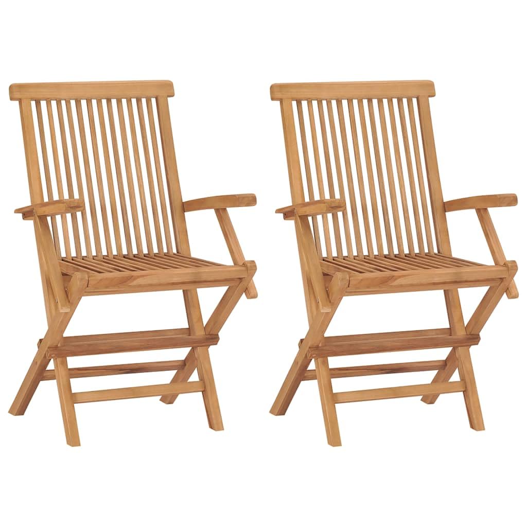 vidaXL Folding Patio Chairs with Armrests Set of 2, Outdoor Wooden Seats for Garden Dining Capming Beach Deck, Stable Structure 