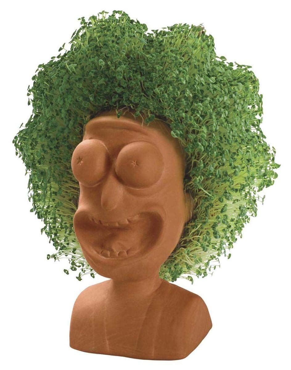 Chia Pet Rick & Morty - Rick With Seed Pack, Decorative Pottery Planter, Easy To Do And Fun To Grow, Novelty Gift, Perfect For A