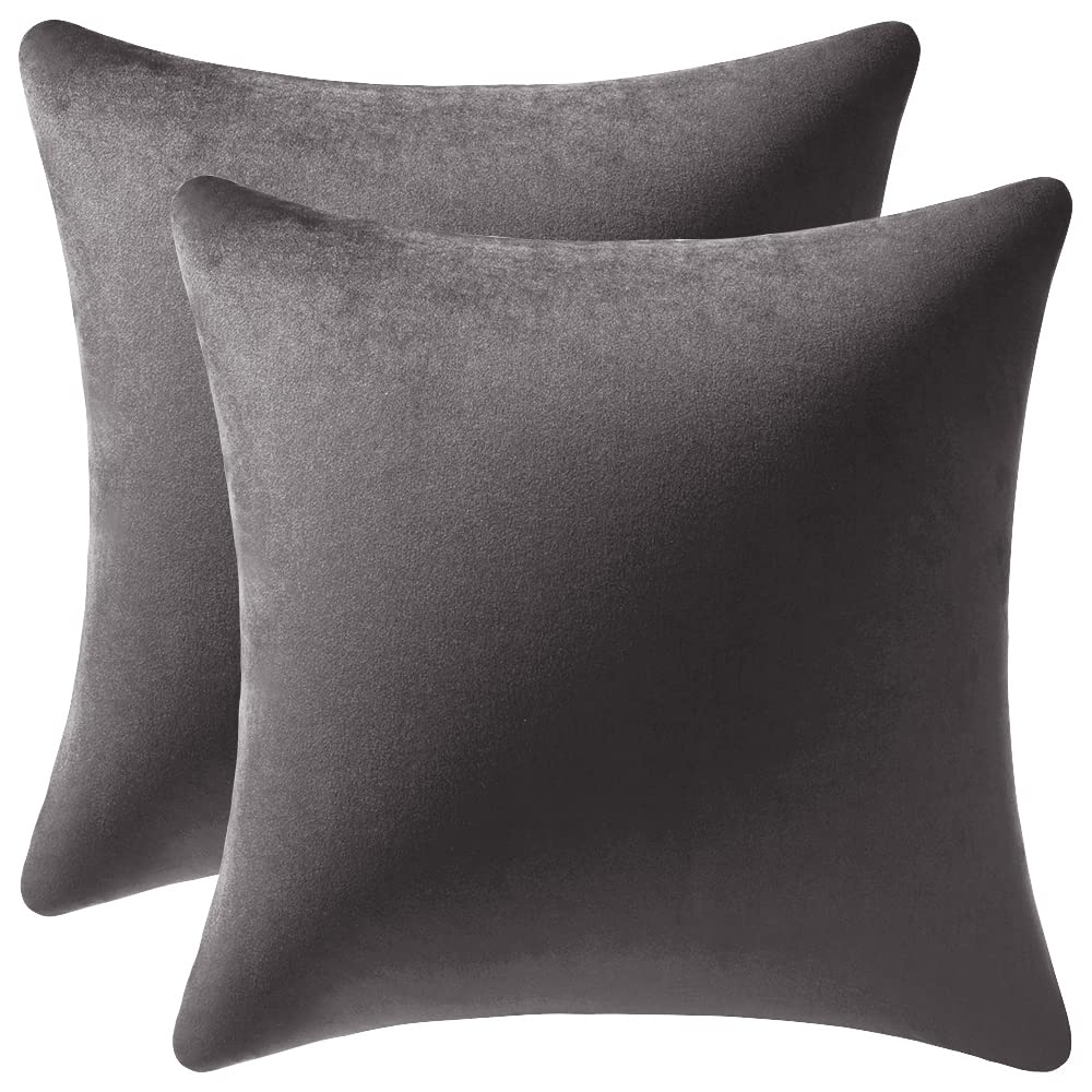 Dezene Throw Pillow Covers 16X16 Dark-Grey: 2 Pack Cozy Soft Velvet Square Decorative Pillow Cases For Farmhouse Home Decor