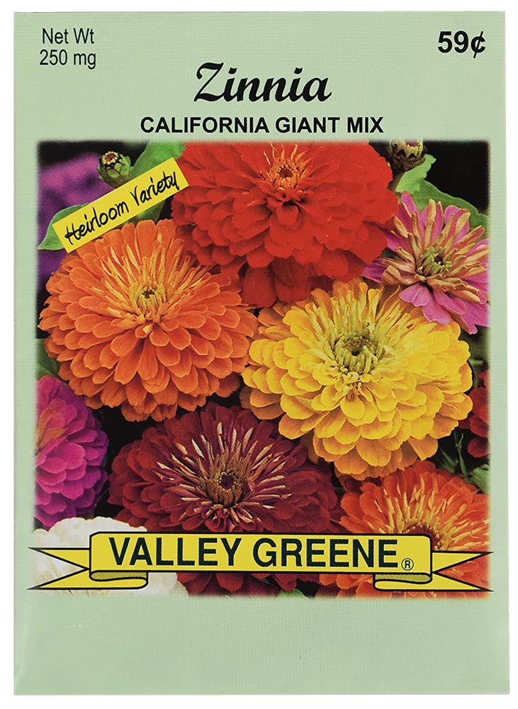 Set Of 100 Flower Seed Packets! Flower Seeds In Bulk (100, Zinnia Cali Giant)