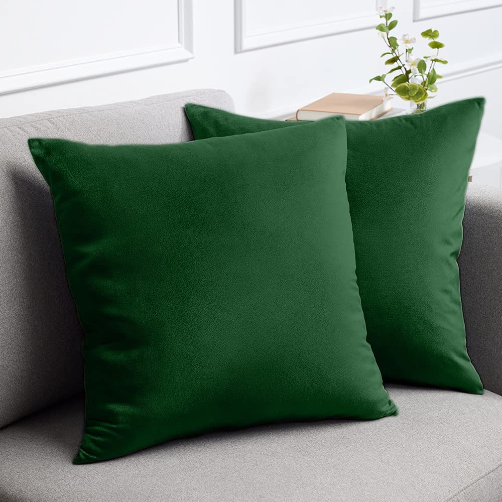 Lalaloom Velvet Throw Pillow Cases, Set Of 2, Softest Accent Case For Pillows, Decorative Square Covers For Home Decor, Silky Co