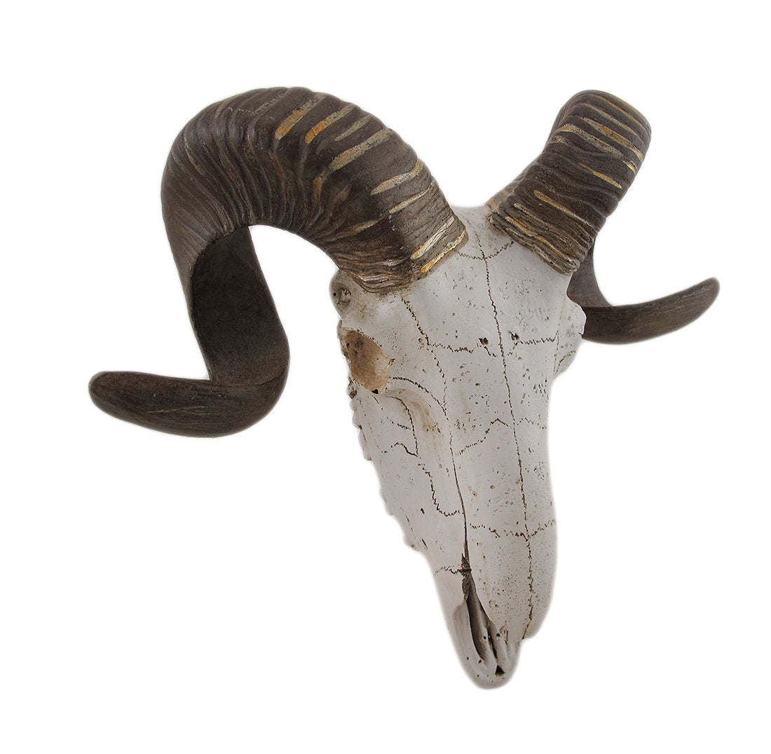 Deco 79 Polystone Sheep Home Wall Decor Skull Wall Sculpture, Wall Art 14 x 5 x 12, White